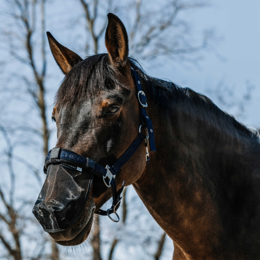Equitheme Nose Shield UV
