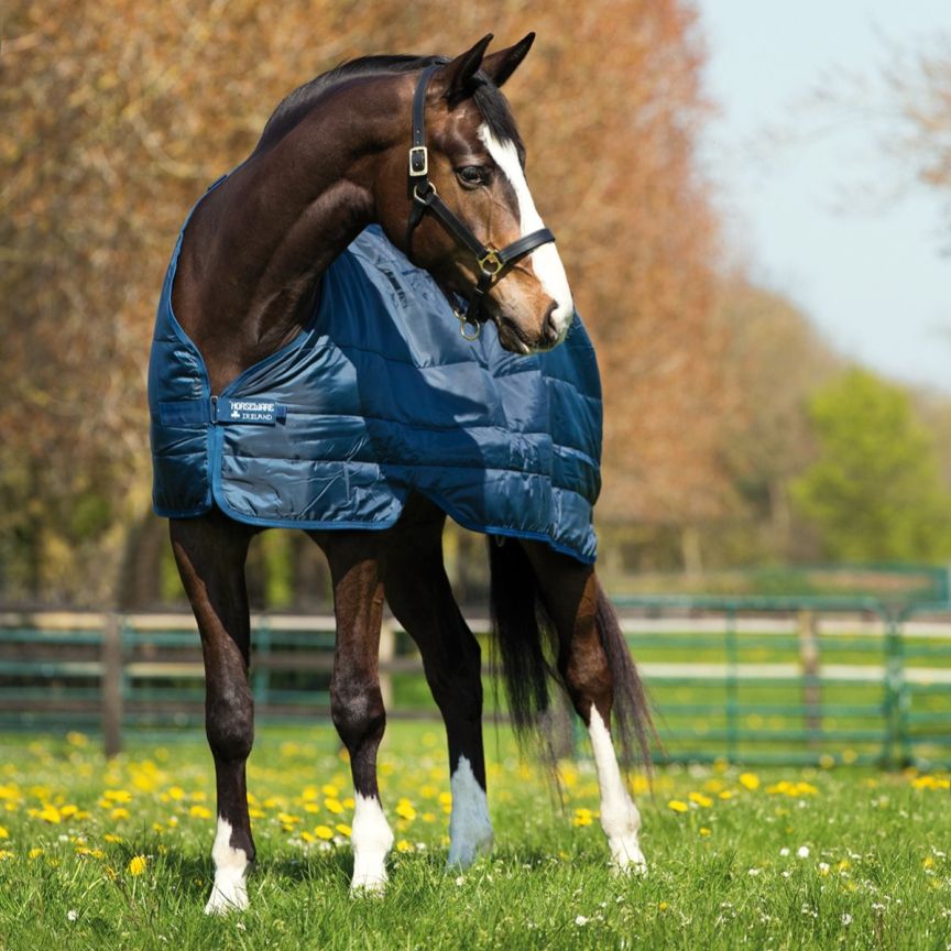 Horseware Liner 200 gr