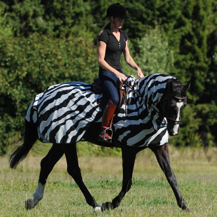 bucas buzz-off vliegendeken riding