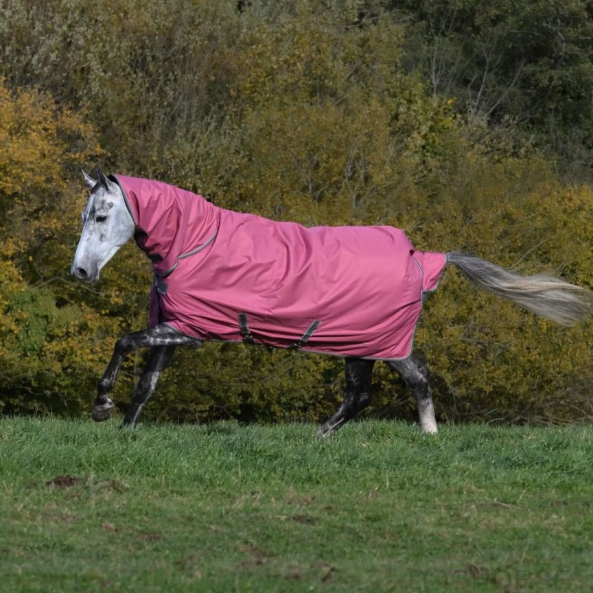 Bucas Freedom Turnout With Neck Part Light Raspberry