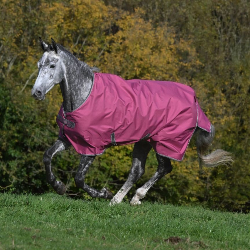 Bucas Freedom Turnout Light Navy