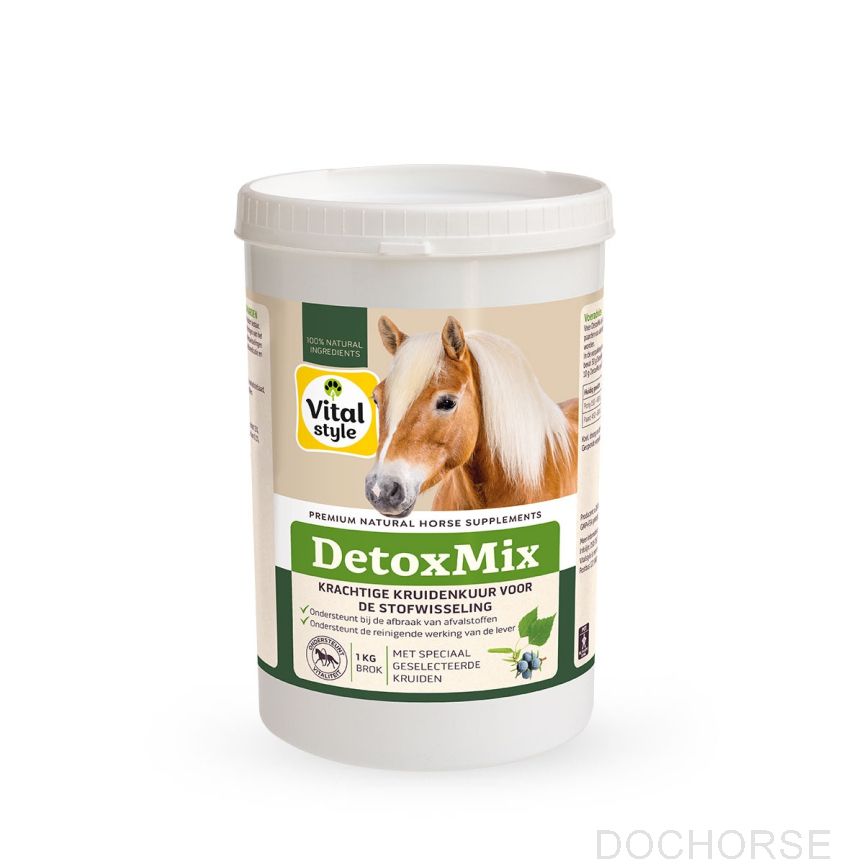 VITALstyle Detoxmix
