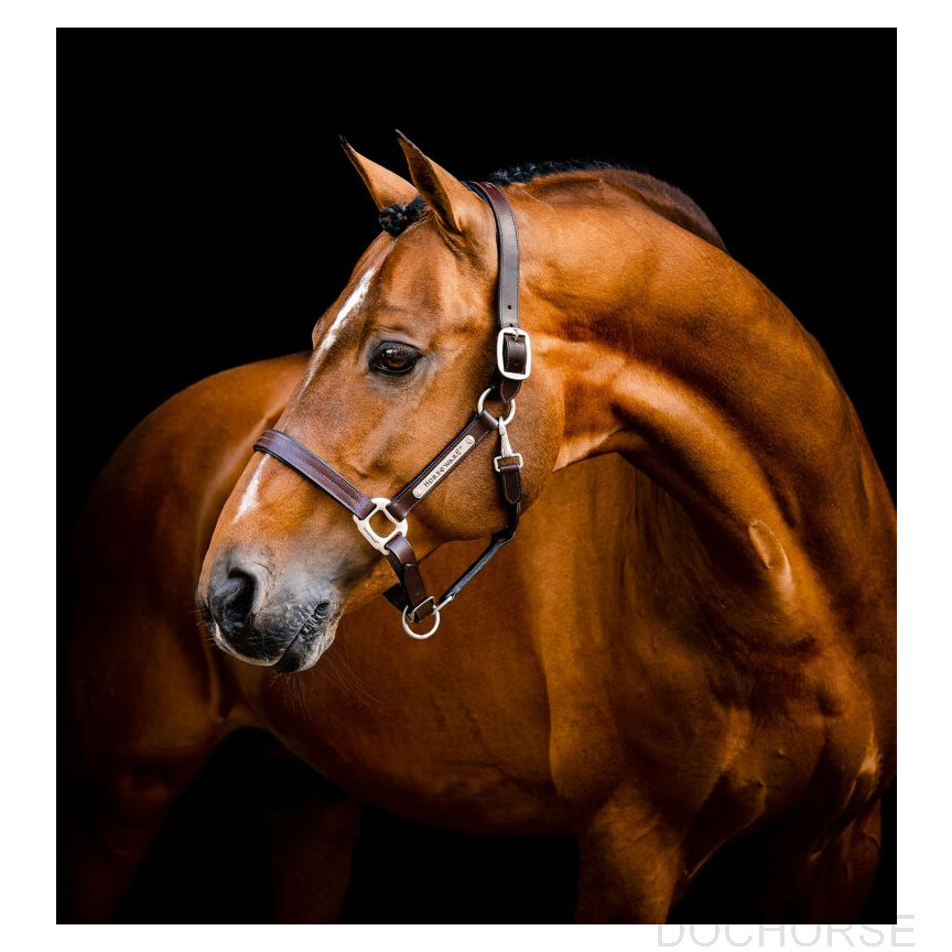 Horseware Signature Leer Halster Bruin