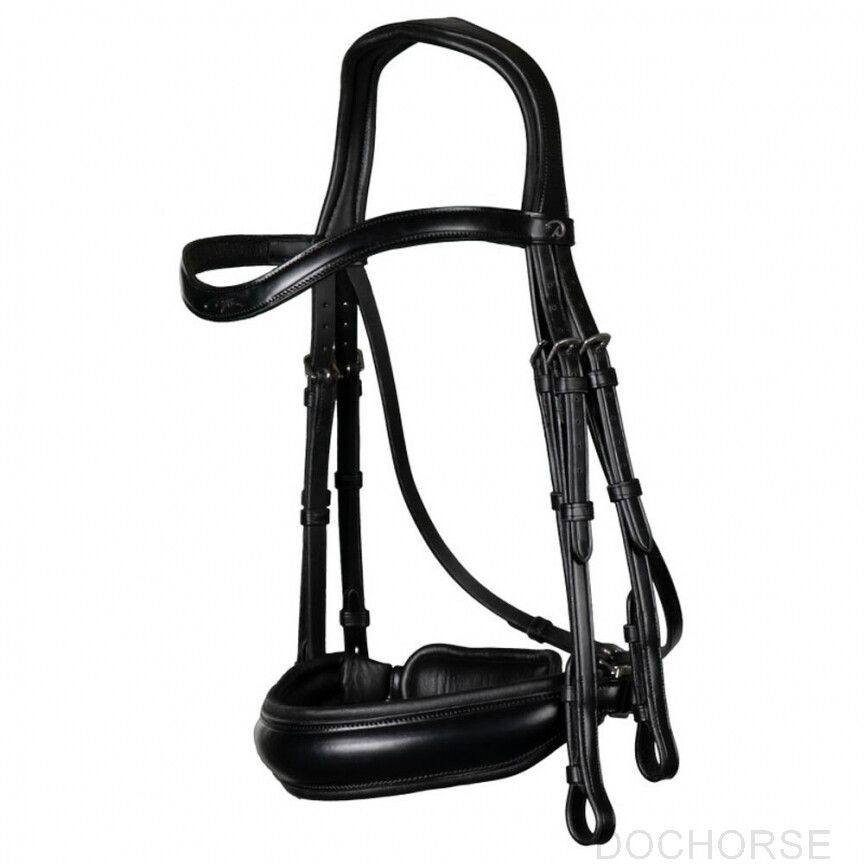Dyon Stang en Trens Hoofdstel
