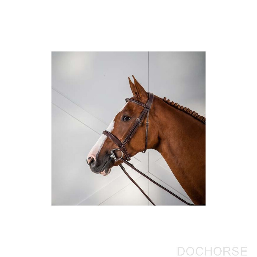 dyon hunter hoofdstel