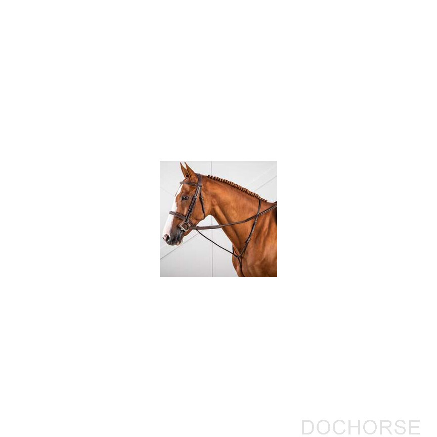 dyon hunter martingaal