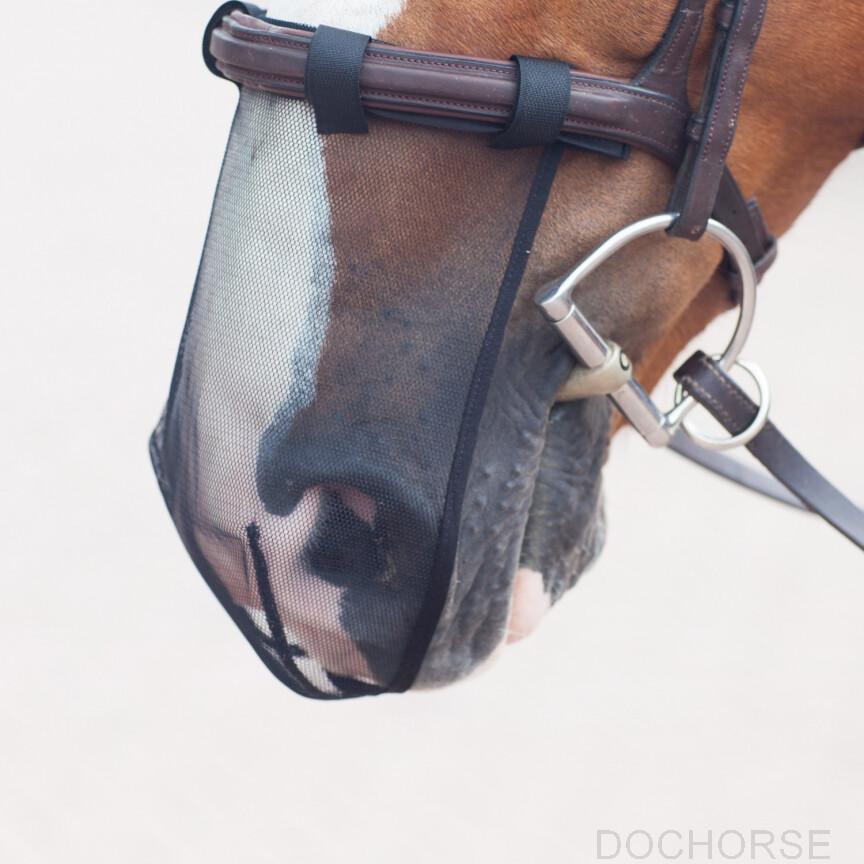Neusnetje paard