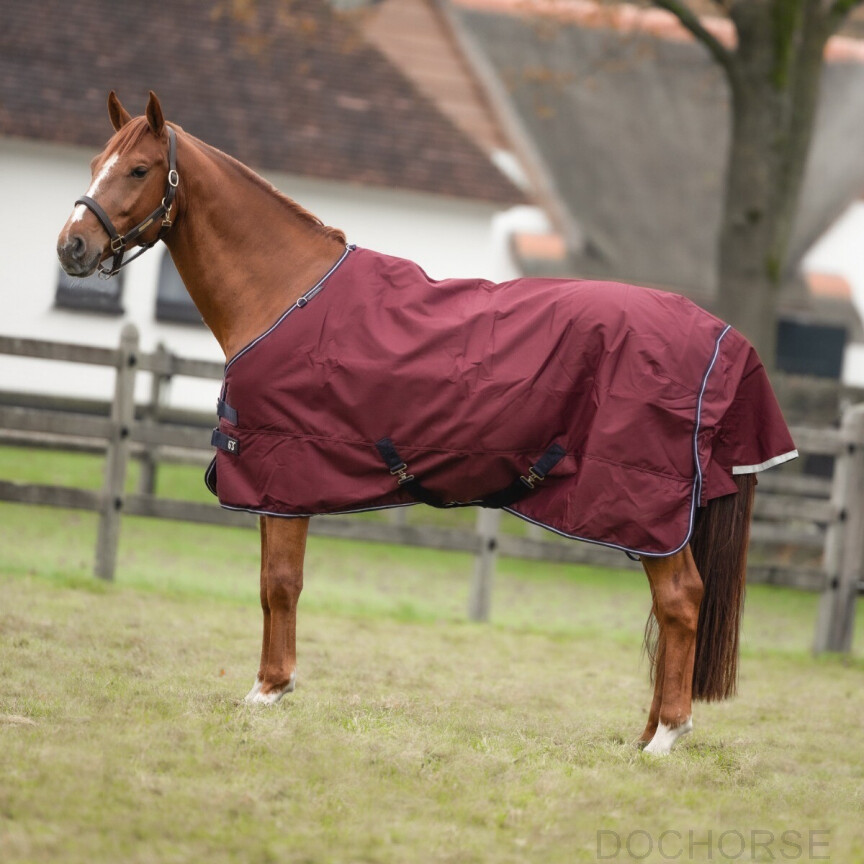 Equithème Turnout Rug 1200D Tyrex 150 G