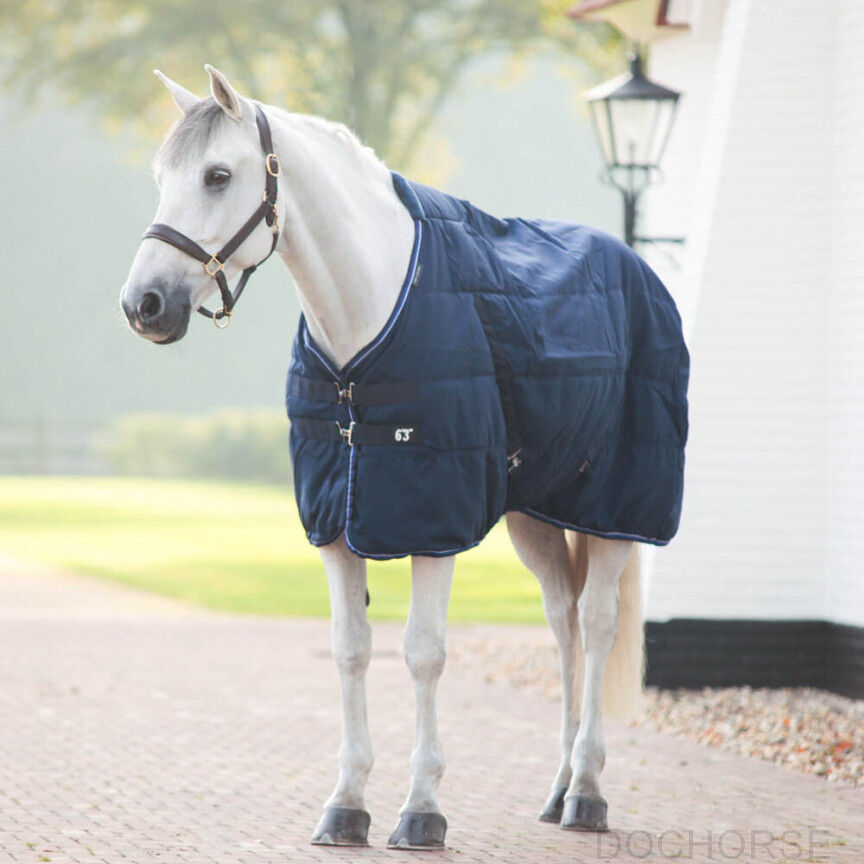 Equitheme stable rug