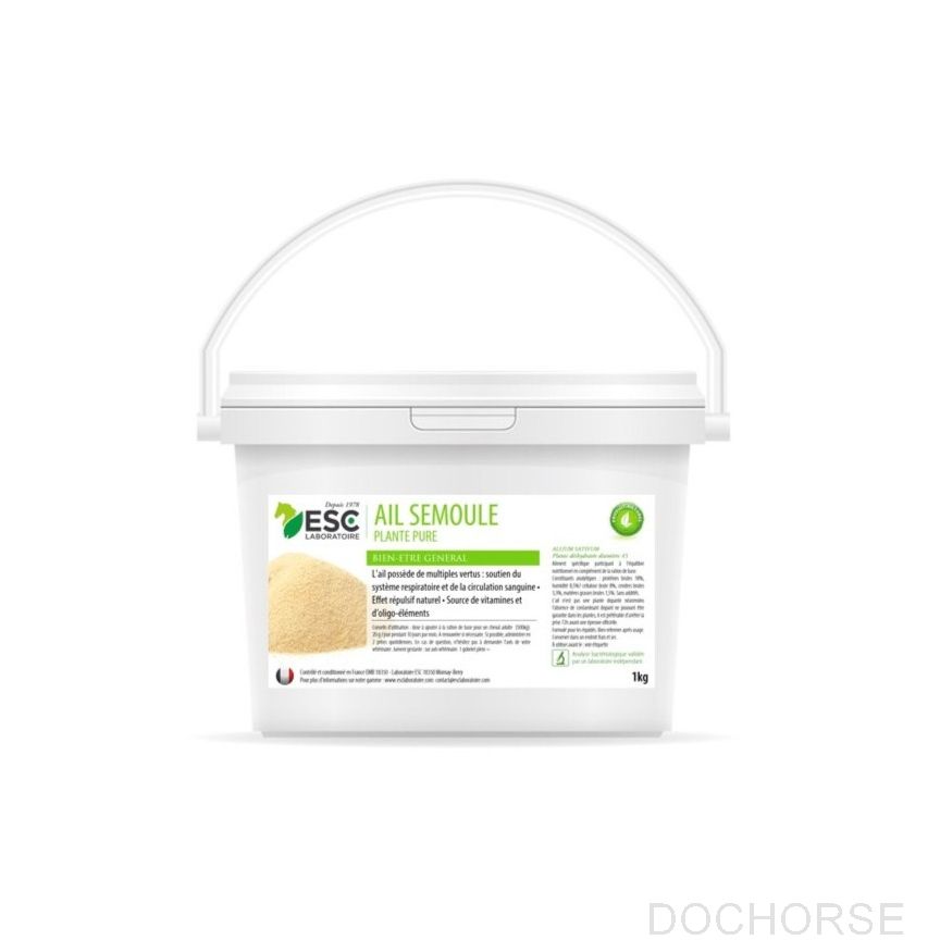 ESC Ail Semoule