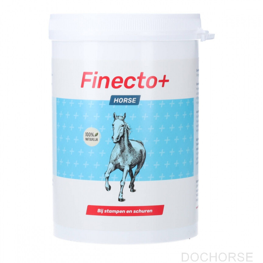 Finecto Horse