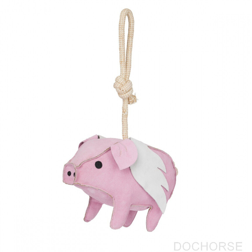 lemieux flying pig