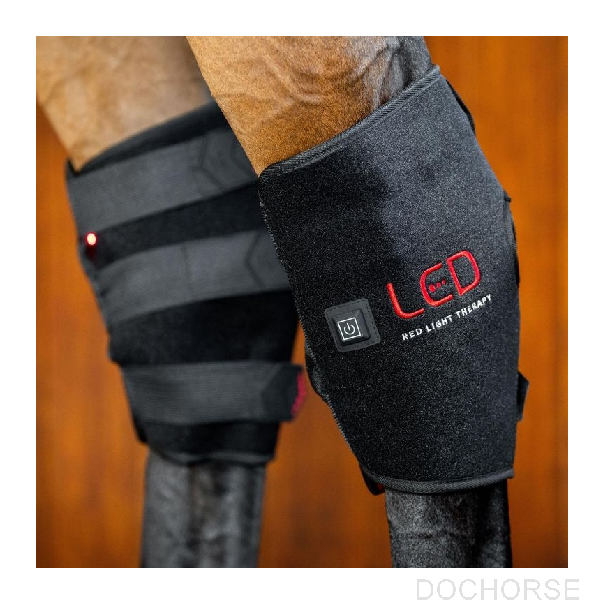 Horseware Therapy Hock Boots LED Red Light