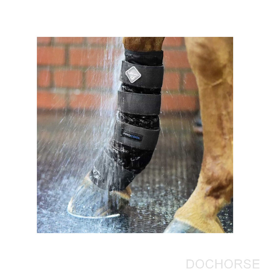 Lemieux Procool Cold Water boots
