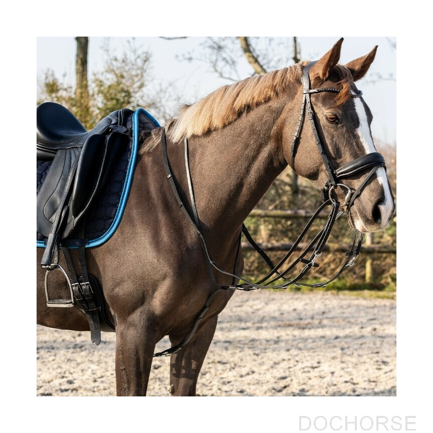 QHP Thiedeman Teugel Set Paard