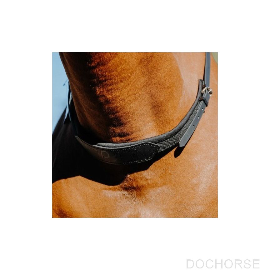 Norton Bareback Neckrope