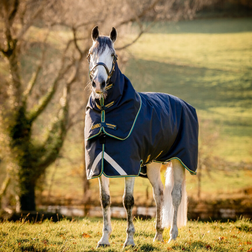 Rambo Turnout Duo Force 2.0 Navy/Teal