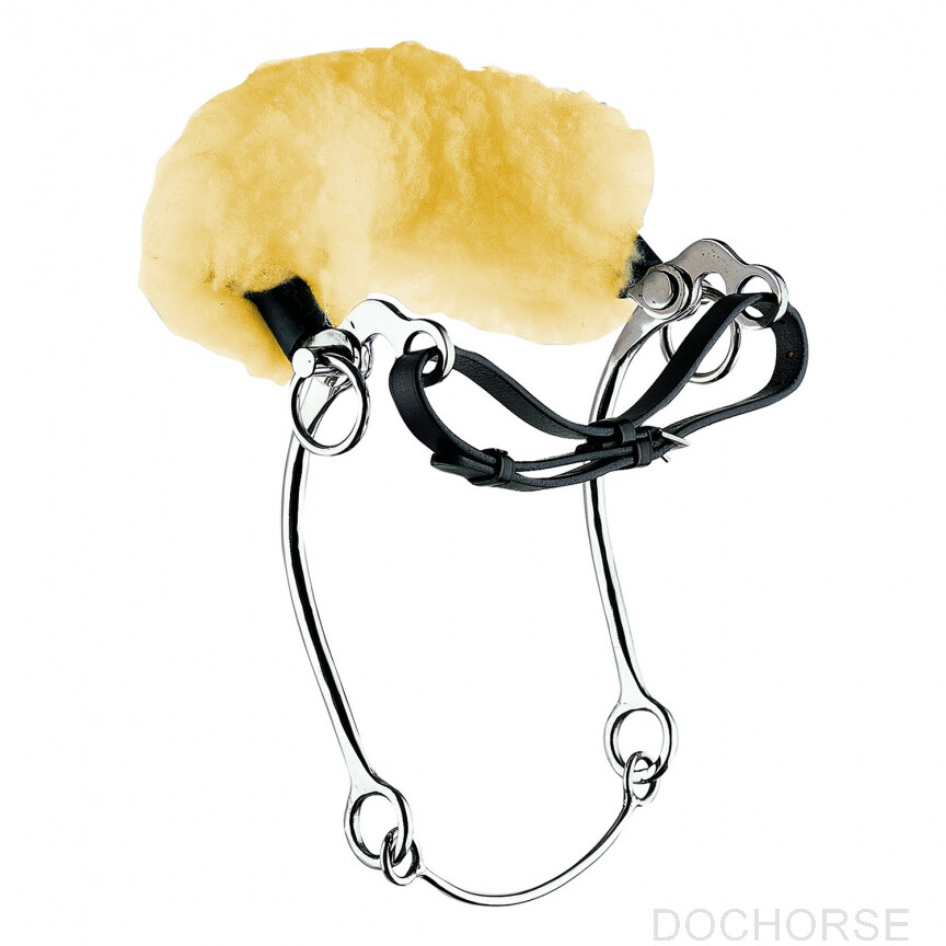 Sprenger Hackamore