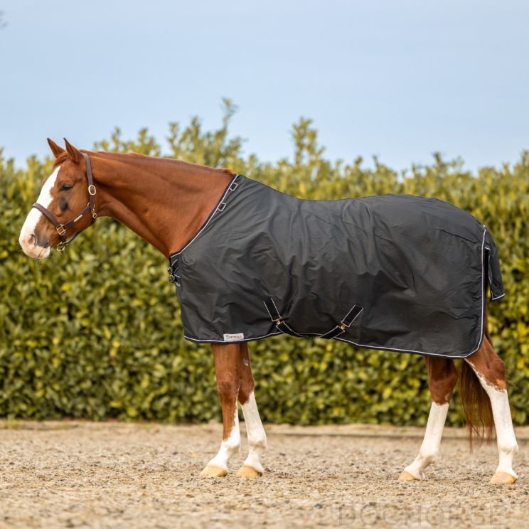 Dominick Regendeken Turnout Lite