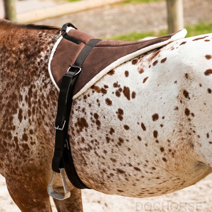 Norton Bareback Pad Soft Choco