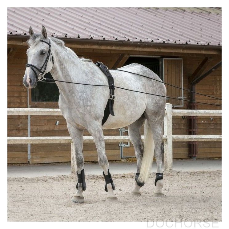 Riding World Long Reins