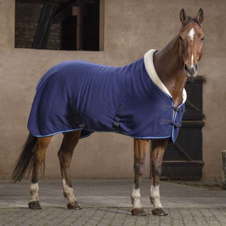 Riding World Confort Rug