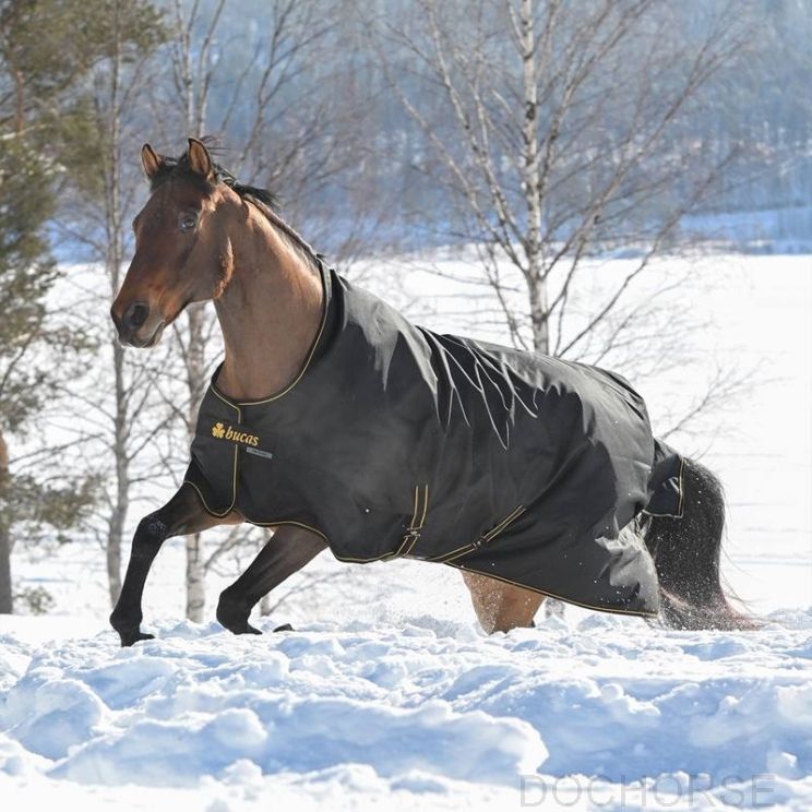 Bucas Irish Turnout High Neck 50 gr Black / Gold 