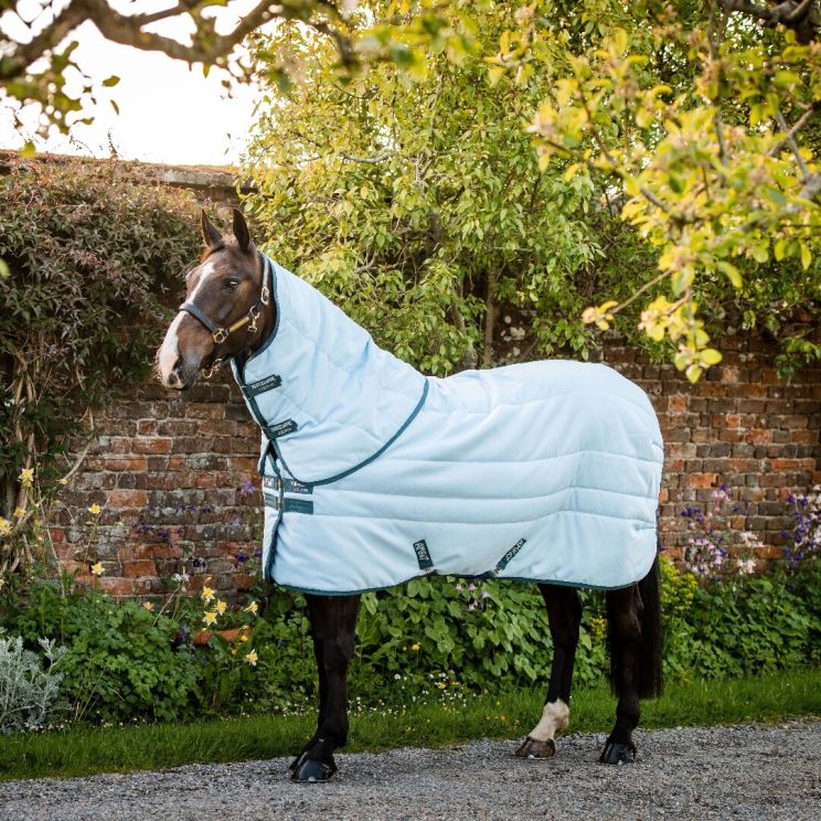 Amigo Plant Dye Staldeken