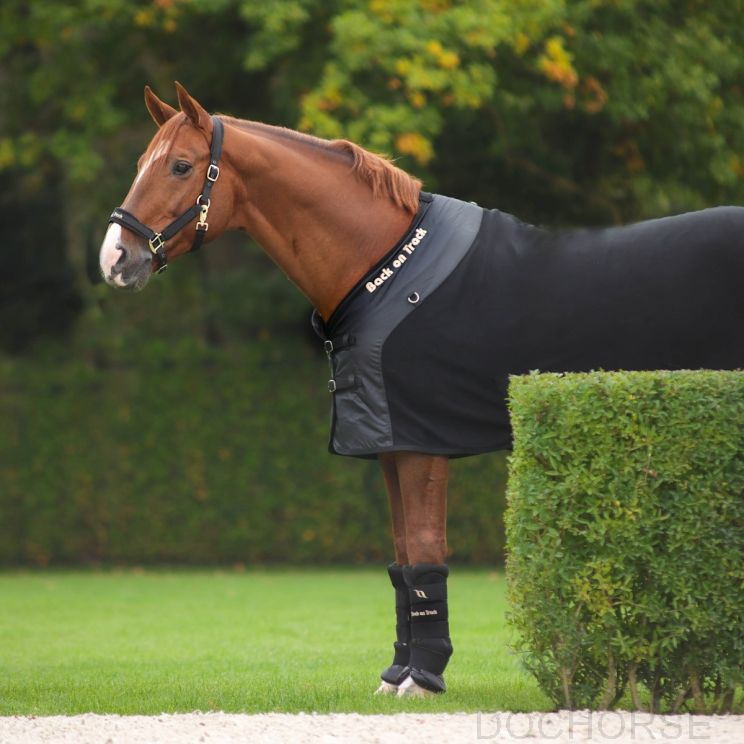 Back on Track Royal Mesh Rug Deluxe