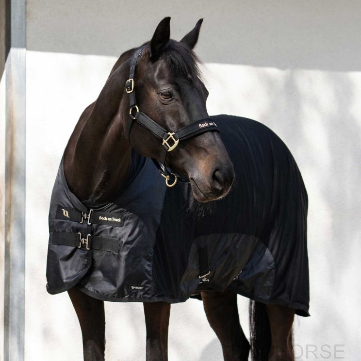 Back on Track Royal Mesh Rug Deluxe