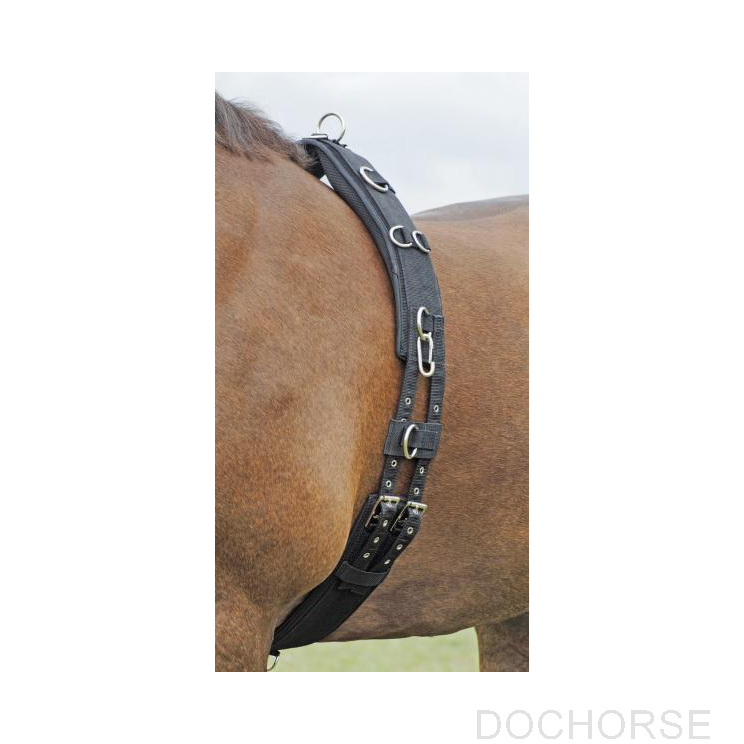 Busse longeersingel profi