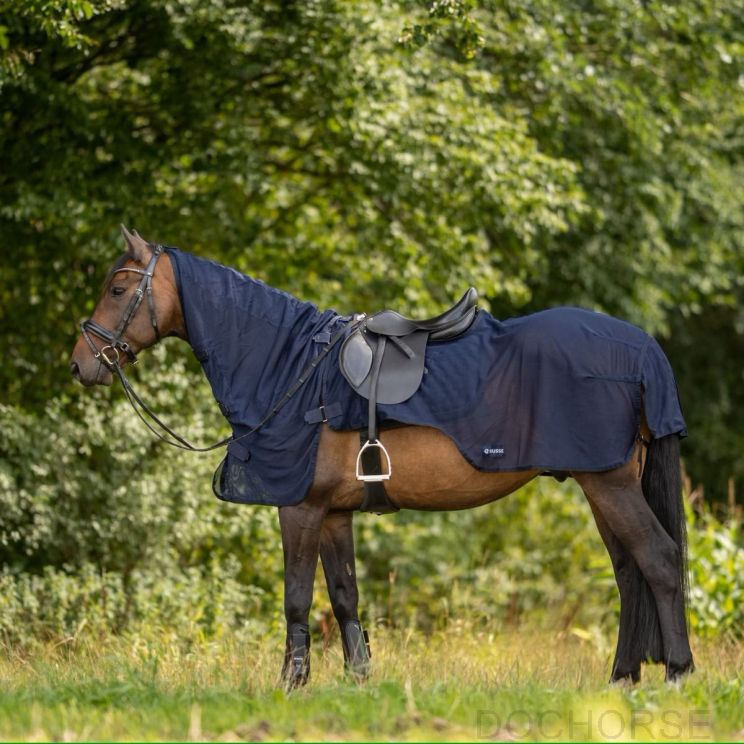 Busse Fly Sheet Exercise III