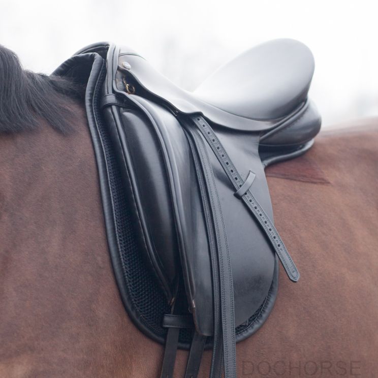 cal rei zadeldek zadelvormig paard