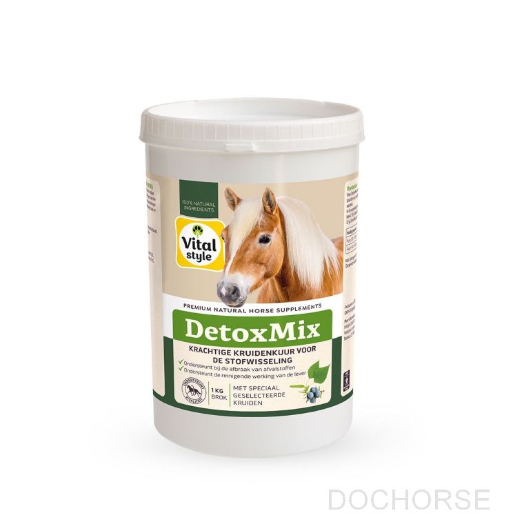 VITALstyle Detoxmix 