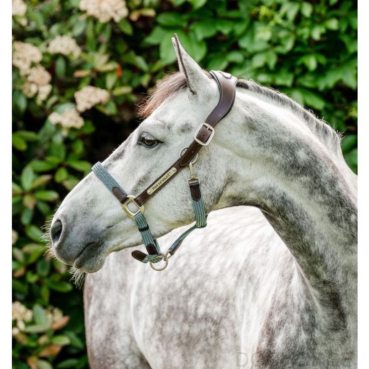 Horseware Signature Braided Halster Brown/Navy & Blue Haze