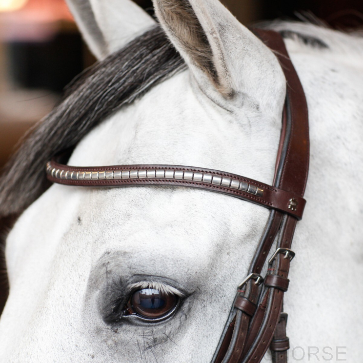 Döbert Frontriem Studs