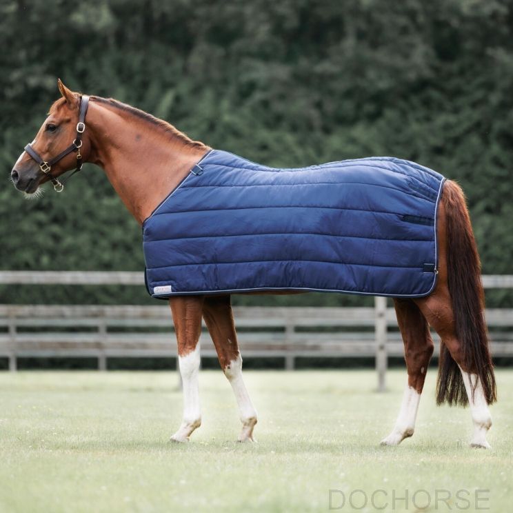 Dominick Liner 400GR 