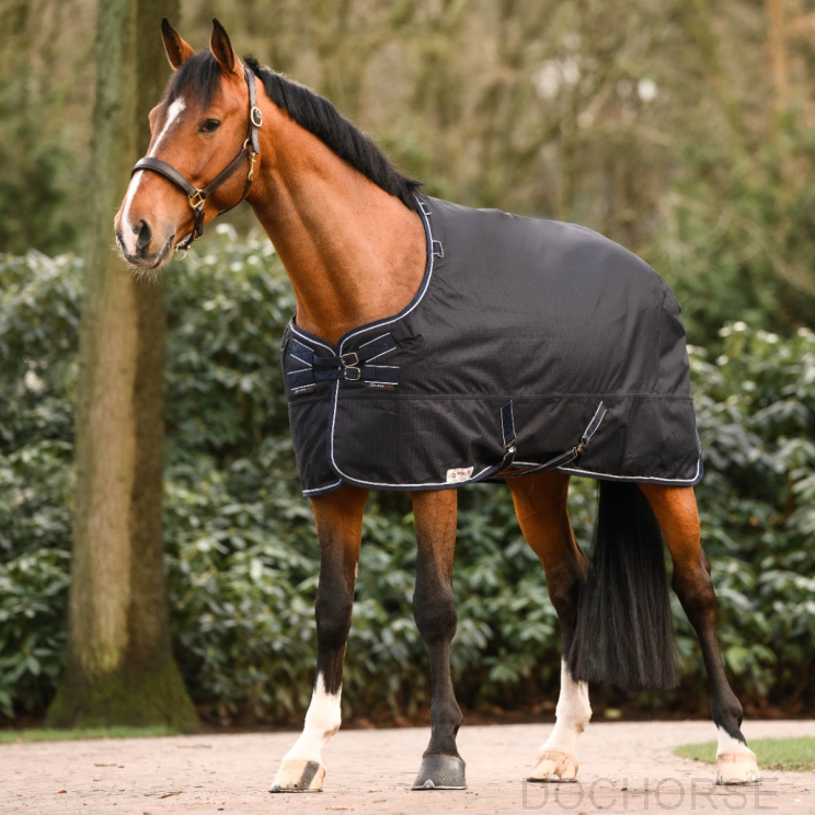 Dominick Outdoor Rug Heavy