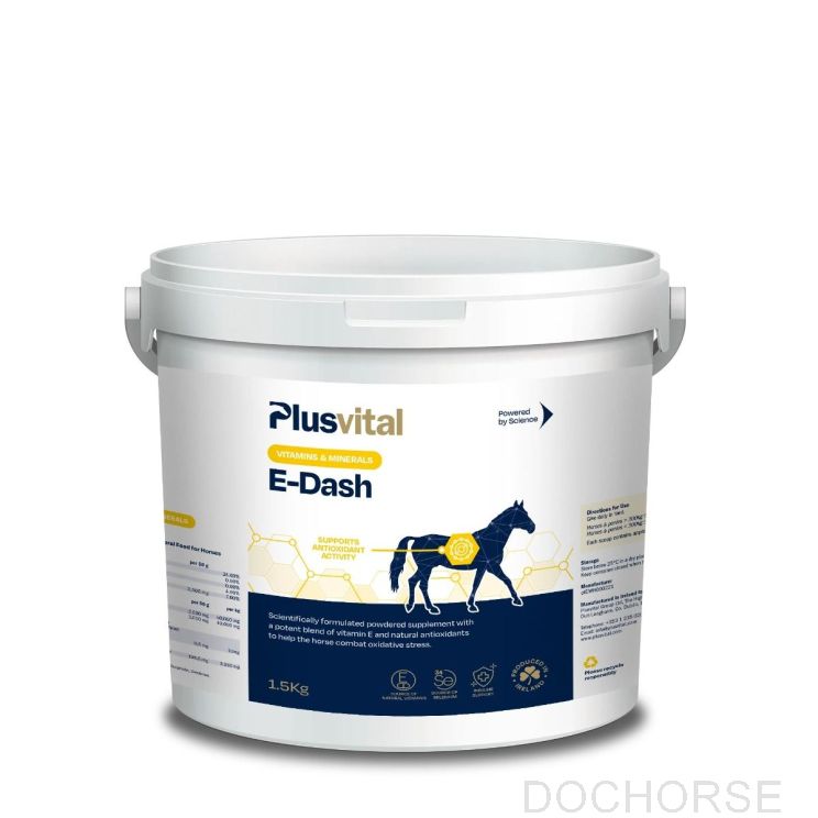 Plusvital E-Dash