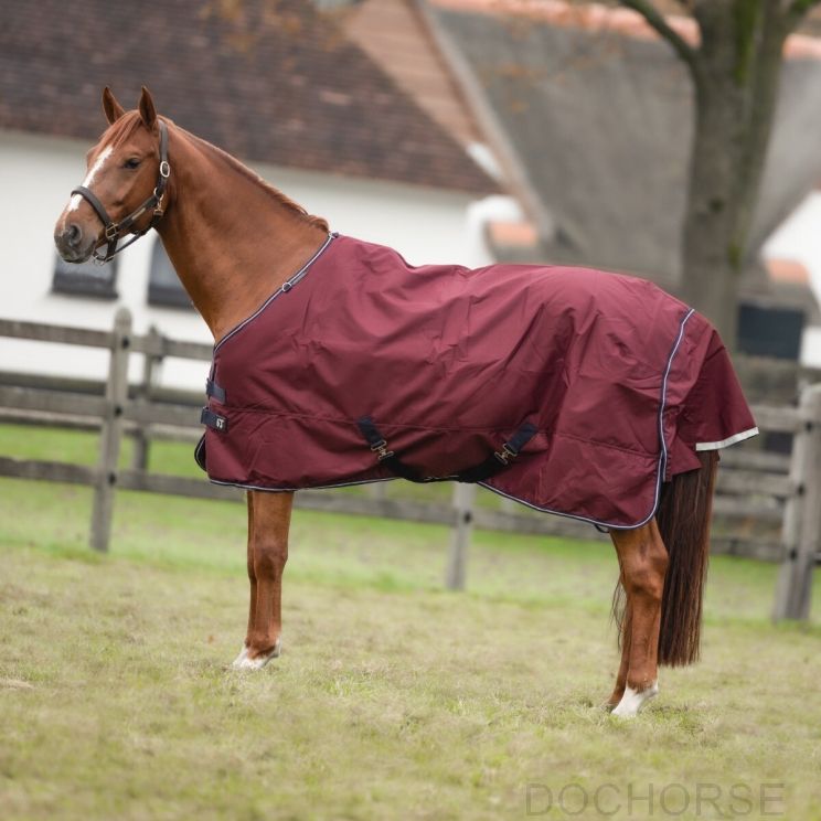 Equithème Turnout Rug 1200D Tyrex 300 G	