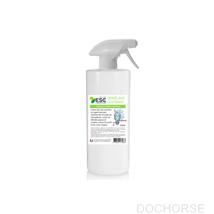 ESC Demelant-Lustrant