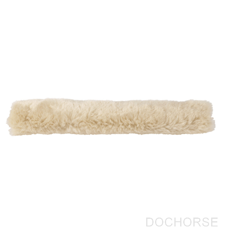 Eskadron kopstukbeschermer