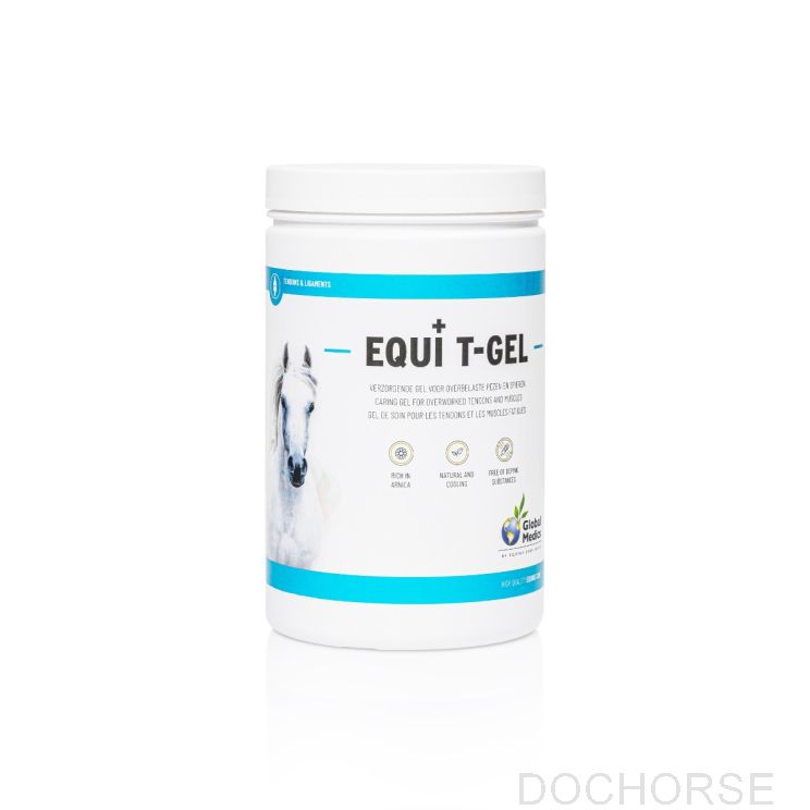 global medics equi t-gel