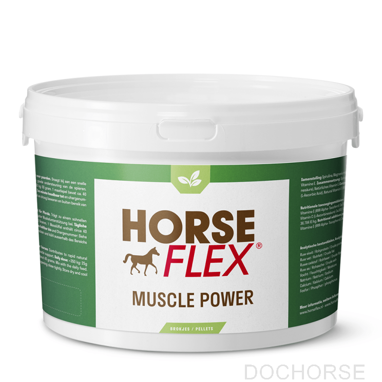 HorseFlex Muscle Power