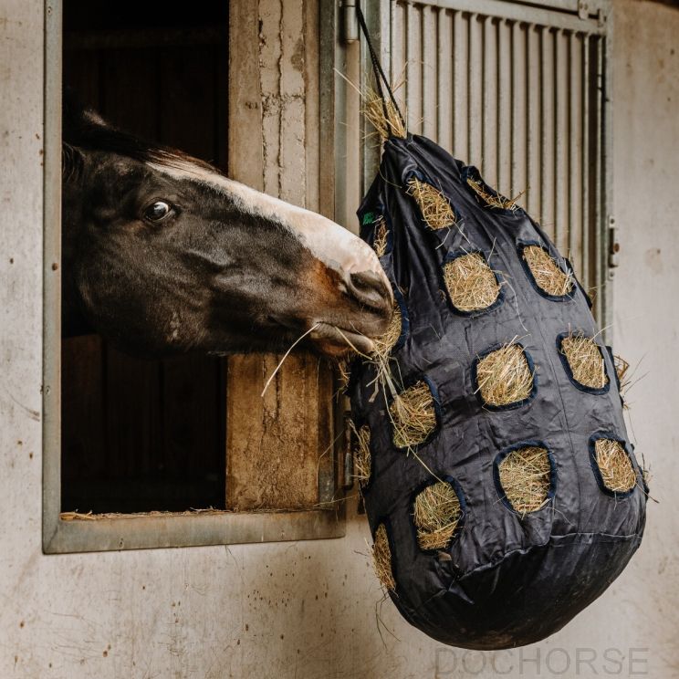 Hippotonic Slowfeeder with Holes
