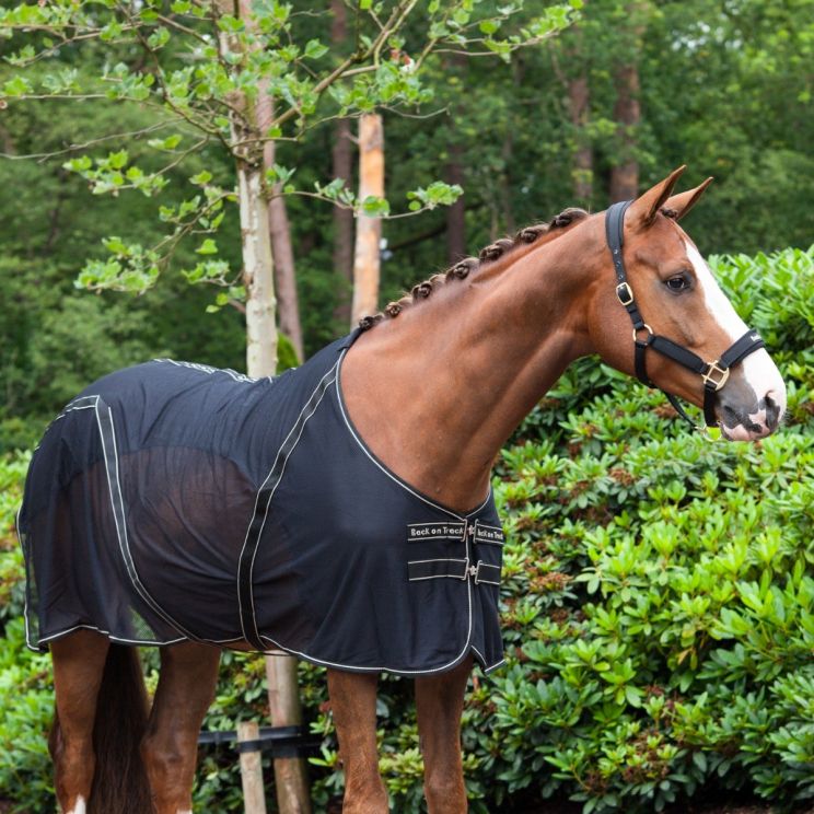 Back on Track Sienna Cooler