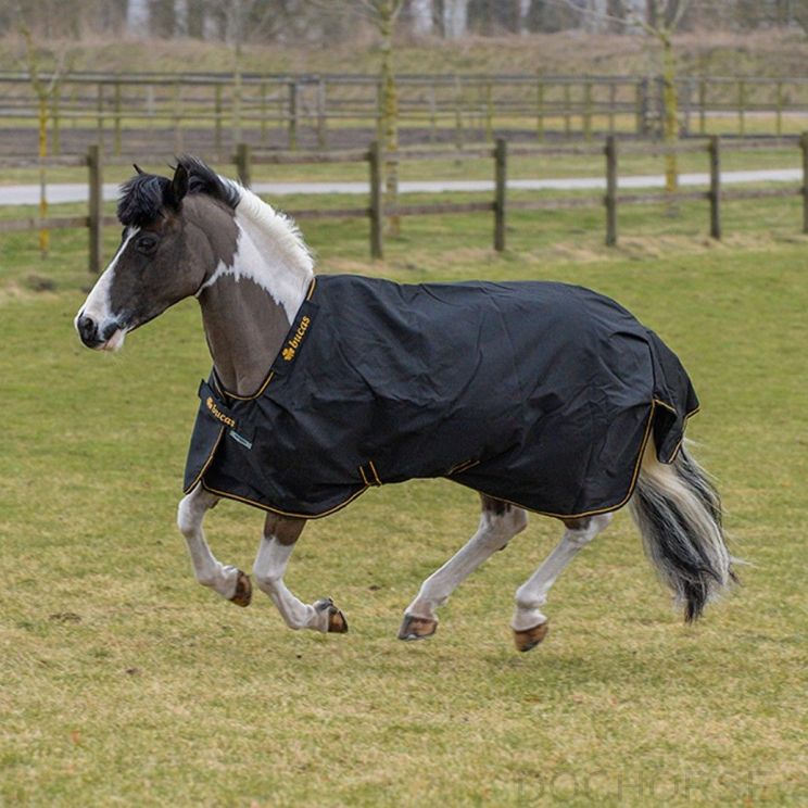 Bucas Irish Turnout Light 50G Pony