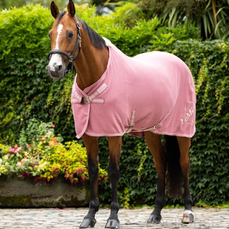 LeMieux Cooler Rug Kudos Bamboo Peony
