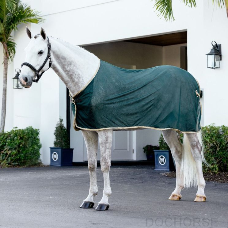 Lemieux Scrim Rug Green