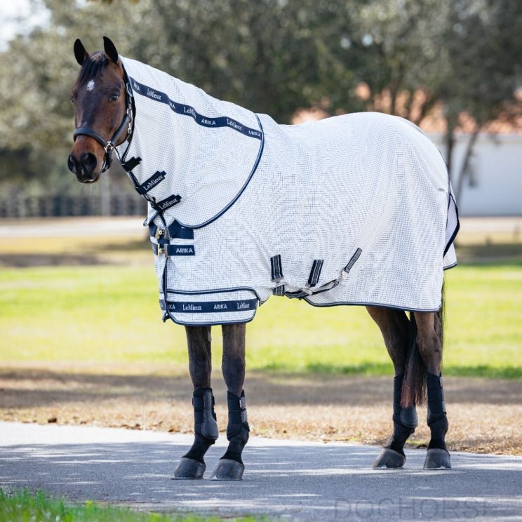 Lemieux Arika Field Rug